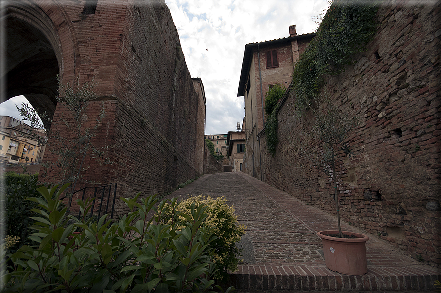 foto Siena